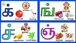  mei eluthukkal tamil letters tamilarasi
