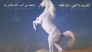 انشودة ابشري يا امتي زال الغثاء    قمة الروعة دندنها