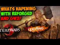 This new Guild Wars Interview is VERY interesting New Expansion and Guild Wars Reforged