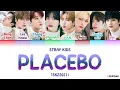 Download Lagu Stray Kids \
