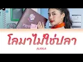 NANA - โลมาไม่ใช่ปลา [THAI/ROM/ENG Color Coded Lyrics]