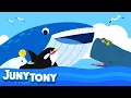 Whale Song for Kids | Learn Sea Animals | Blue whale, Sperm whale, Beluga Whale and Orca | Juny\u0026Tony