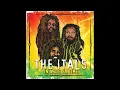 The Itals   In A Dis Ya Time