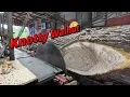 Sawing a knotty walnut log 783