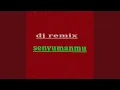 Senyumanmu Dj Remix