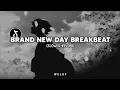 Download Lagu DJ Brand New Day Breakbeat (slowed+reverb) MP3