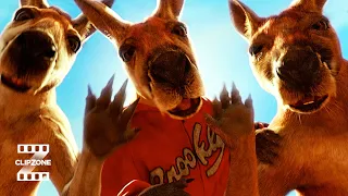 kangaroo jack kangaroos can rap clipzone comedy callbacks