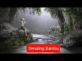 Download Lagu Lagu Seruling Bambu [cover] - Muppet