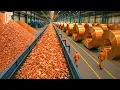 Download Lagu How Millions of Feet of Copper Wire Are Recycled In Factory – Massive Copper Recycling Line
