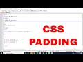Web designing Lec 35 CSS Padding Tutorial in Hindi Urdu