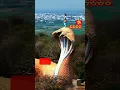 Download Lagu Nampally Gutta Meera Lakshmi Narasimha Swamy Goa #🙏🏻🙏🏻🙏🏻  #subscribe
