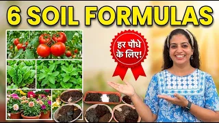 6 Best Potting Mixes: Nursery Plants Kyun Marte Hain? ✨