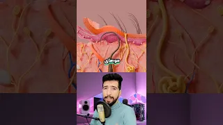 ترفند رفع موهای زیر پوستی  ترفند رفع موهای زیر پوستی