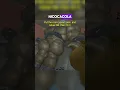 Download Lagu MILKMAN is now OVERPOWERED with this IMMORTAL GLITCH #deadrails