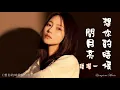 Download Lagu 想你的時候問月亮 Xiang ni de shi hou wen yue liang 洋瀾一 Yang Lan Yi #動態歌詞 Pinyin/Lyrics Music