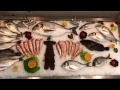 Pescaria Barka - SVE PODGORICA