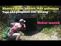 Download Lagu Nekat masuk terowongan yang katanya ada ular welang nya | cari ikan kekeringan