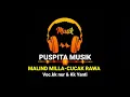Download Lagu Lagu Acara || PUSPITA MUSIK || Malind Millah