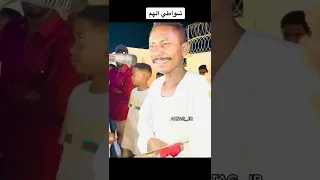 الفنان ود احمودي 