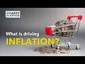 What is Driving Inflation Charts in Motion