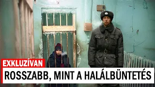 oroszorsz g bagolyb rt ne hal los k zdelem a 50 c os hidegben