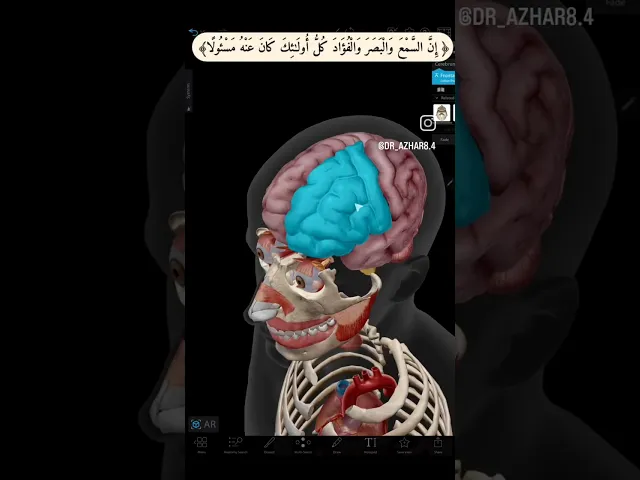 ⁣سبب تحريم المناظر المحرمه