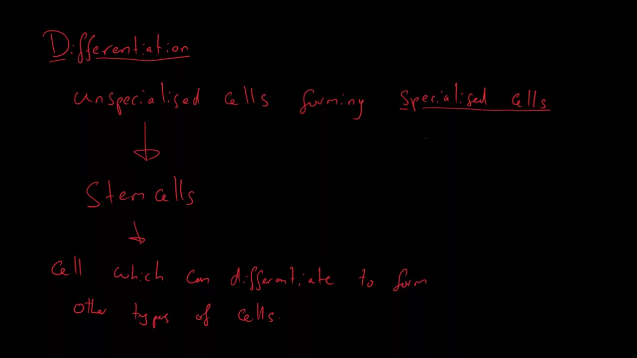 Cell Division & Stem Cells - AQA Biology