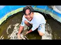 Download Lagu Laaaah yang ini baru banyak yang poin di petani koi idaman ini‼️Review harga langsung ke petani koi