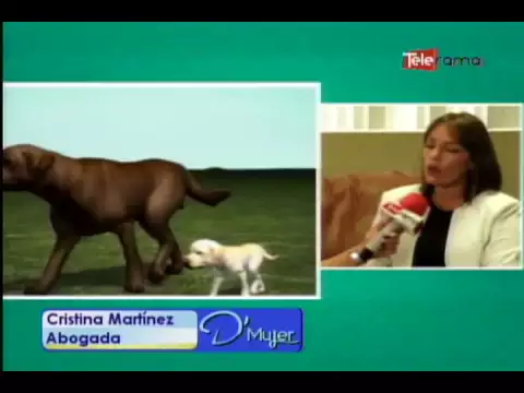 Nueva ordenanza en mascotas