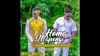 bonge la nyau ft baraka da prince homa ya mapenzi official video 