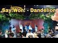 Lagu Say!Won! - 'Dandelion' | Live at IDOL STAGE BANDUNG