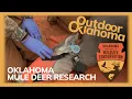 Oklahoma Mule Deer The Edge of the Range