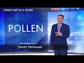 Pollen levels causing problems for allergy suffers