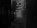 Download Lagu Serhat Durmus \u0026 Zerrin - Hislerim | Aesthetic | Music | English Songs | Sad | Alone #hislerim #song