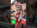 Isabella calling 🤙🏻✨ #ringtone #calling #cat #cute #trending #youtube #youtubeshorts #foryou #kitten