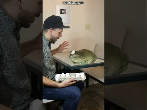 This Frog Is A Celebrity😍 #bts