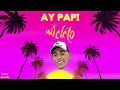 MC Leleto - Ay Papi DJ Leleto 2023 TikTok