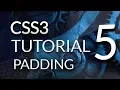 HTML CSS Tutorial Margins and Padding