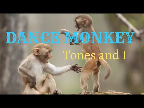 Download MP3 tones and i - Dance monkey mp3