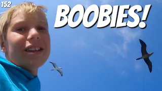 Boobies and Other Animals of the Galapagos! Ep 152