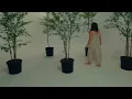 pure (official video) - abbie gamboa
