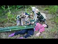 Download Lagu A Vietnamese girl went to get bamboo to repair her house and was helped by a pack of smart dogs.