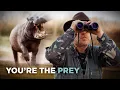 These Animals Will Hunt You Back