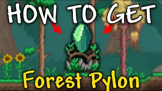 How to Get Forest Pylon in Terraria Forest Pylon Terraria