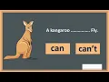 Can Can t talking about our abilities English grammar