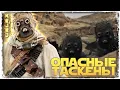 Download Lagu МЕНЬШЕЕ ИЗ ДВУХ ЗОЛ vs le d point | SWGOH #1223