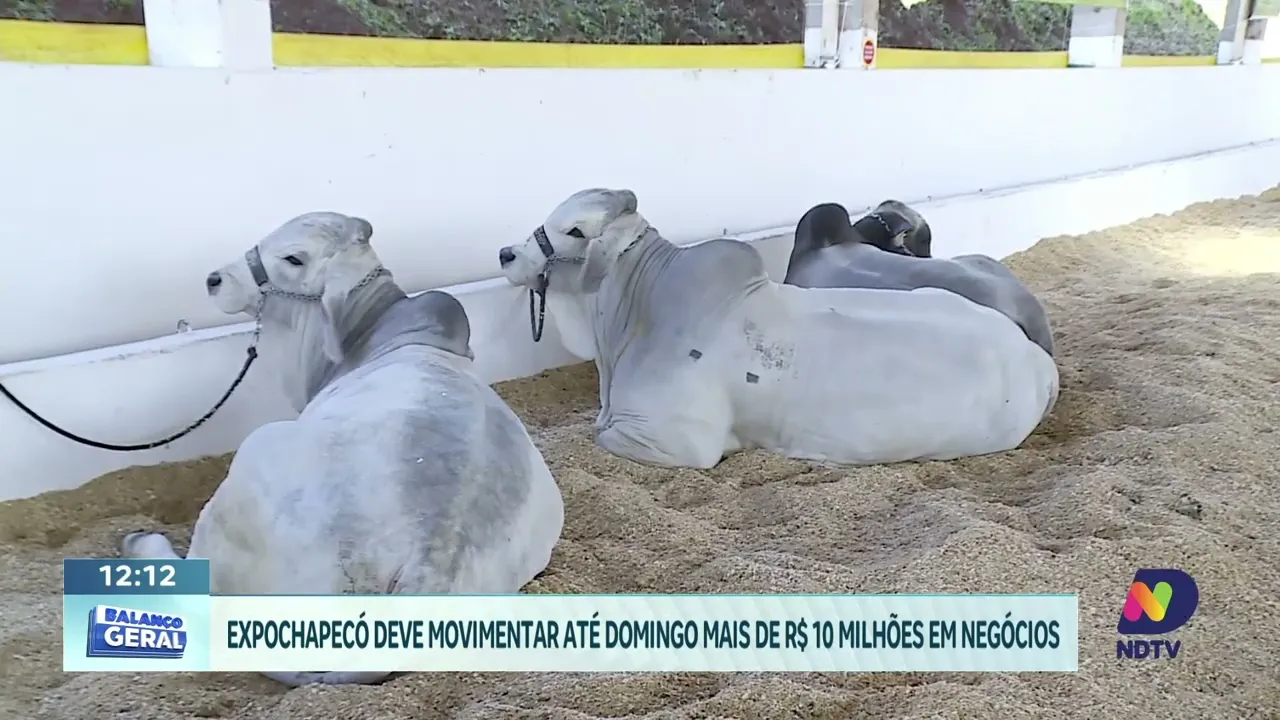 ExpoChapecó: Feira Destaca Força da Pecuária de Corte em SC