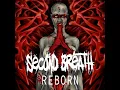 Reborn