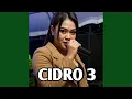 CIDRO 3