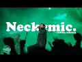 Download Lagu Neckemic - Tribun Selatan Live at Curva Sud Fest 2019